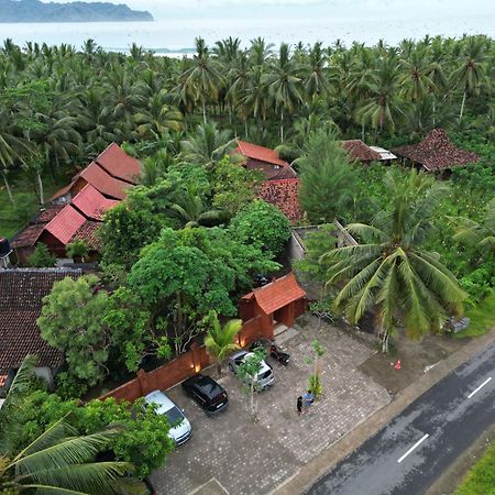 Java Turtle Lodge Meru Betiri Banyuwangi  Eksteriør billede