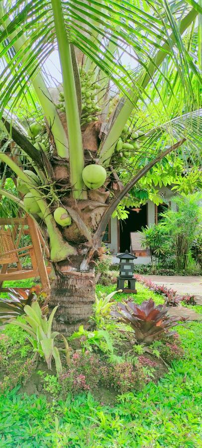 Java Turtle Lodge Meru Betiri Banyuwangi  Eksteriør billede
