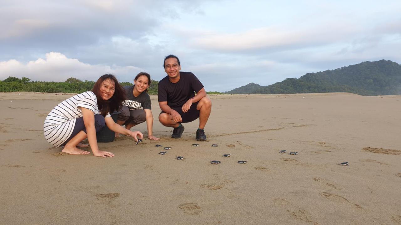 Java Turtle Lodge Meru Betiri Banyuwangi  Eksteriør billede