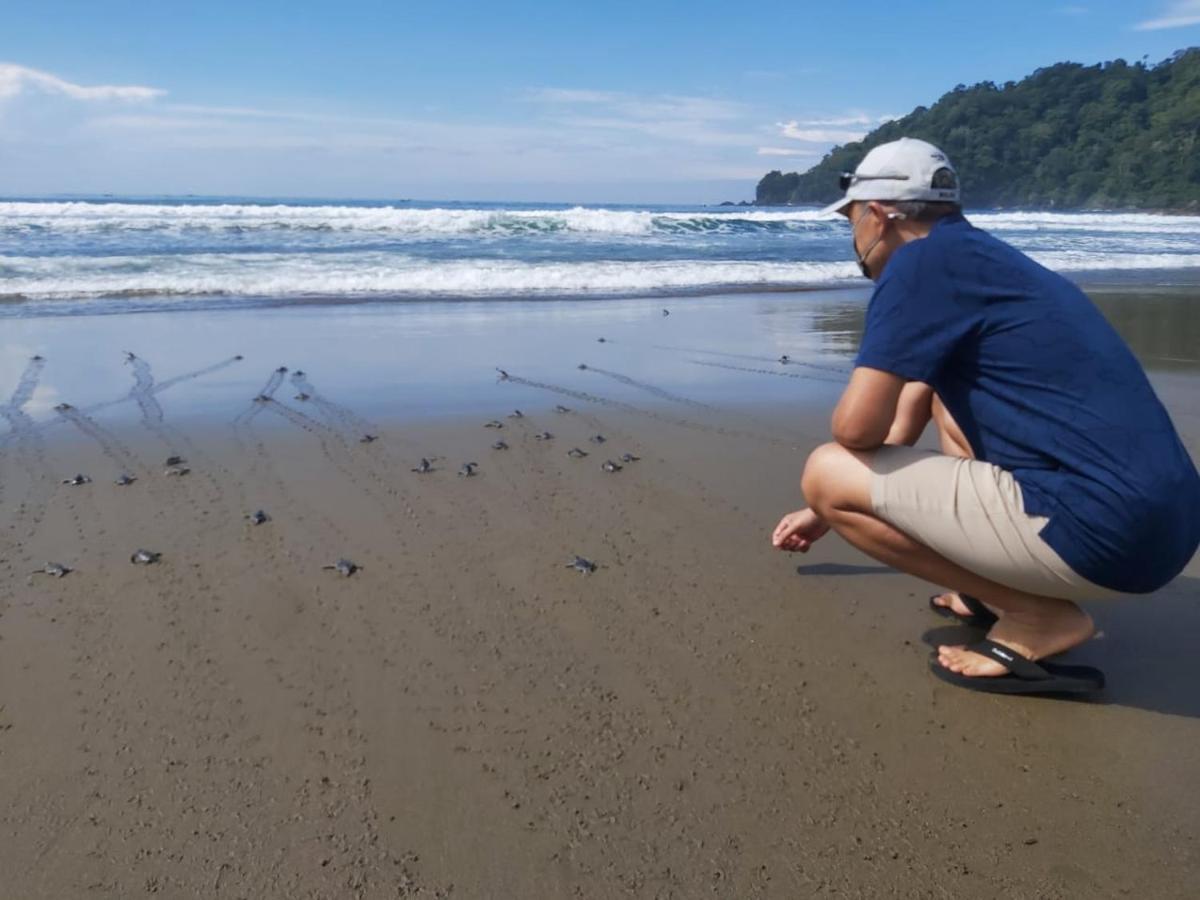 Java Turtle Lodge Meru Betiri Banyuwangi  Eksteriør billede