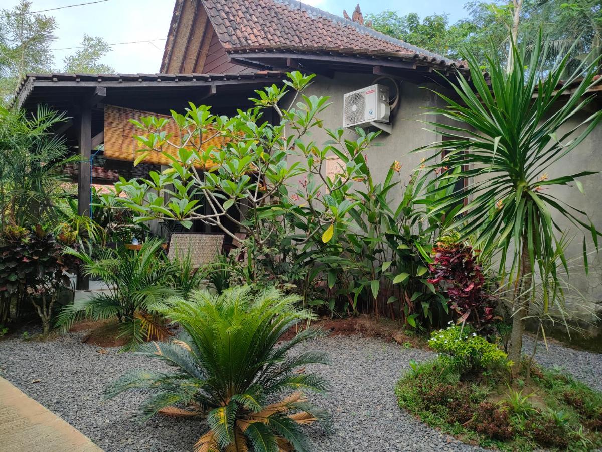 Java Turtle Lodge Meru Betiri Banyuwangi  Eksteriør billede