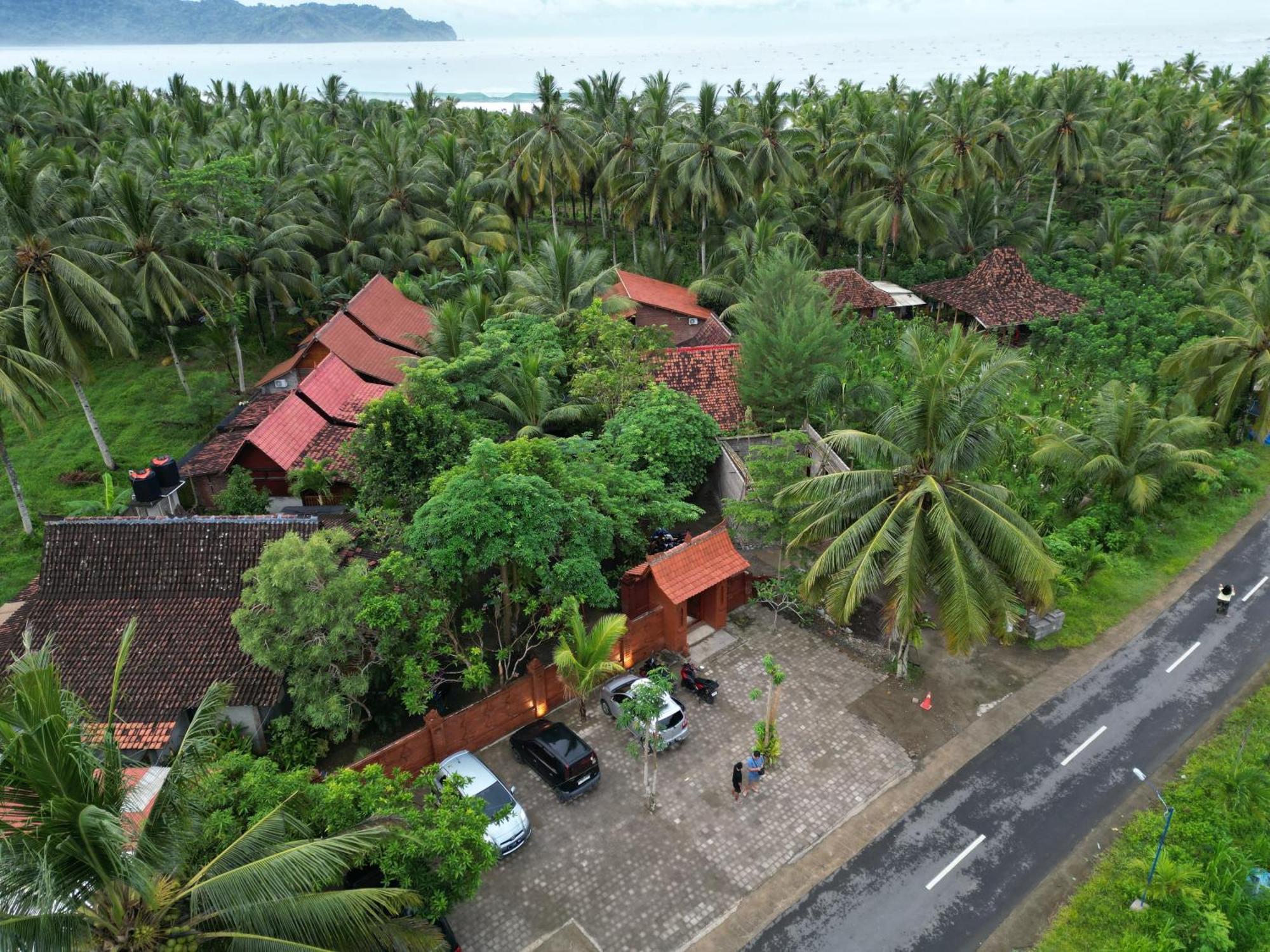 Java Turtle Lodge Meru Betiri Banyuwangi  Eksteriør billede
