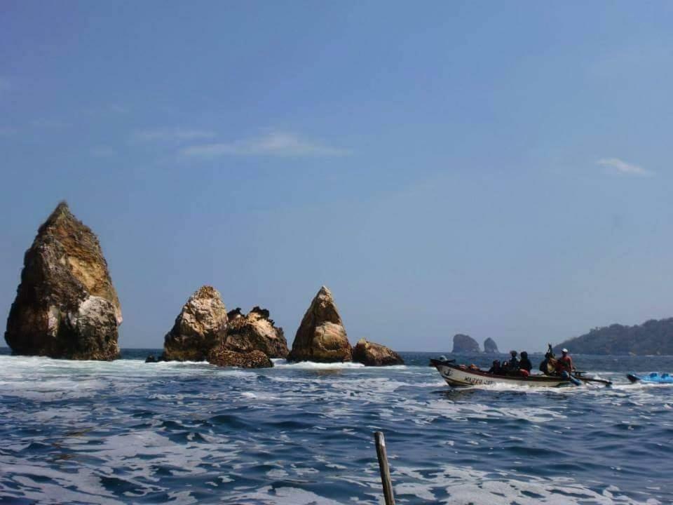 Java Turtle Lodge Meru Betiri Banyuwangi  Eksteriør billede